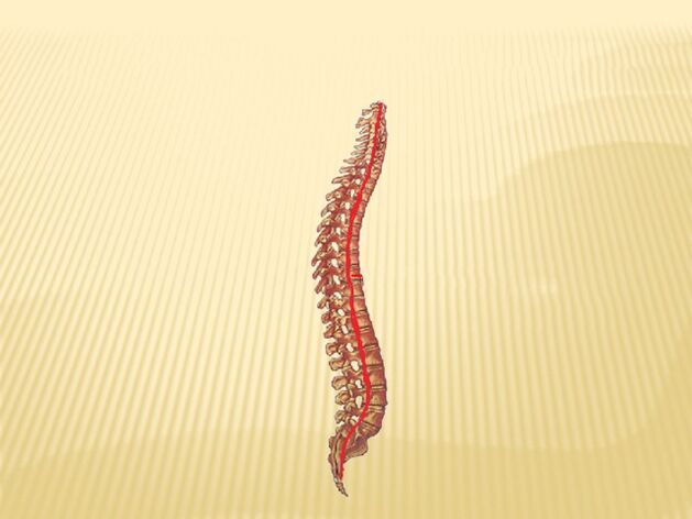 Columna vertebral y médula espinal